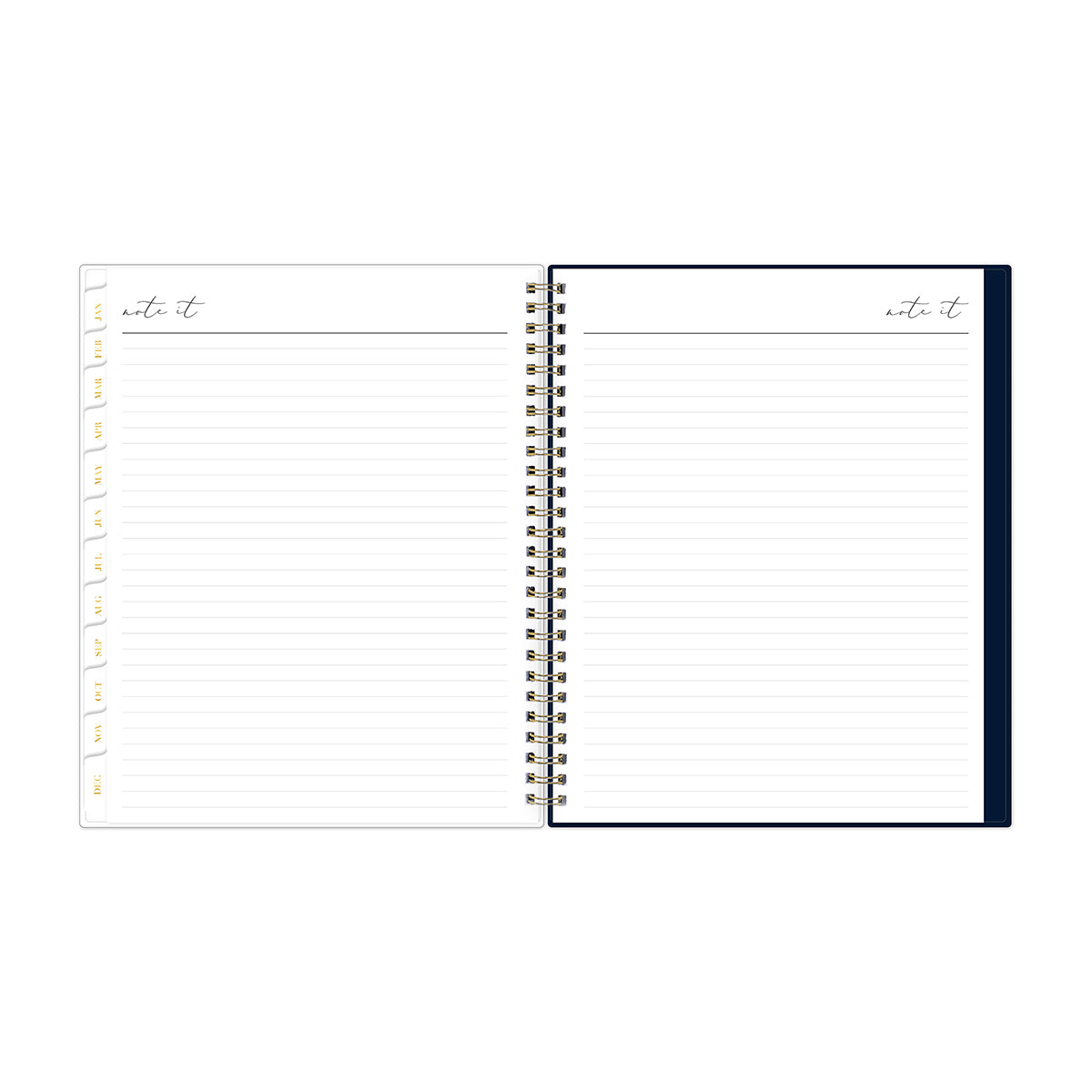lined writing space
