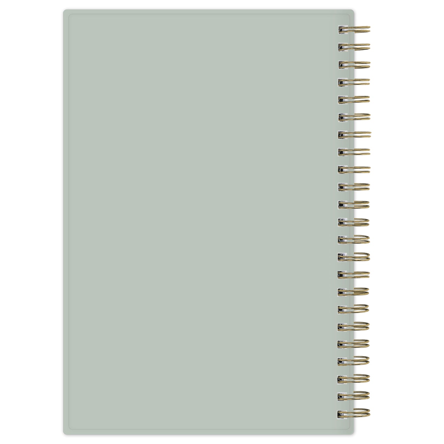 solid light green and gray backcover