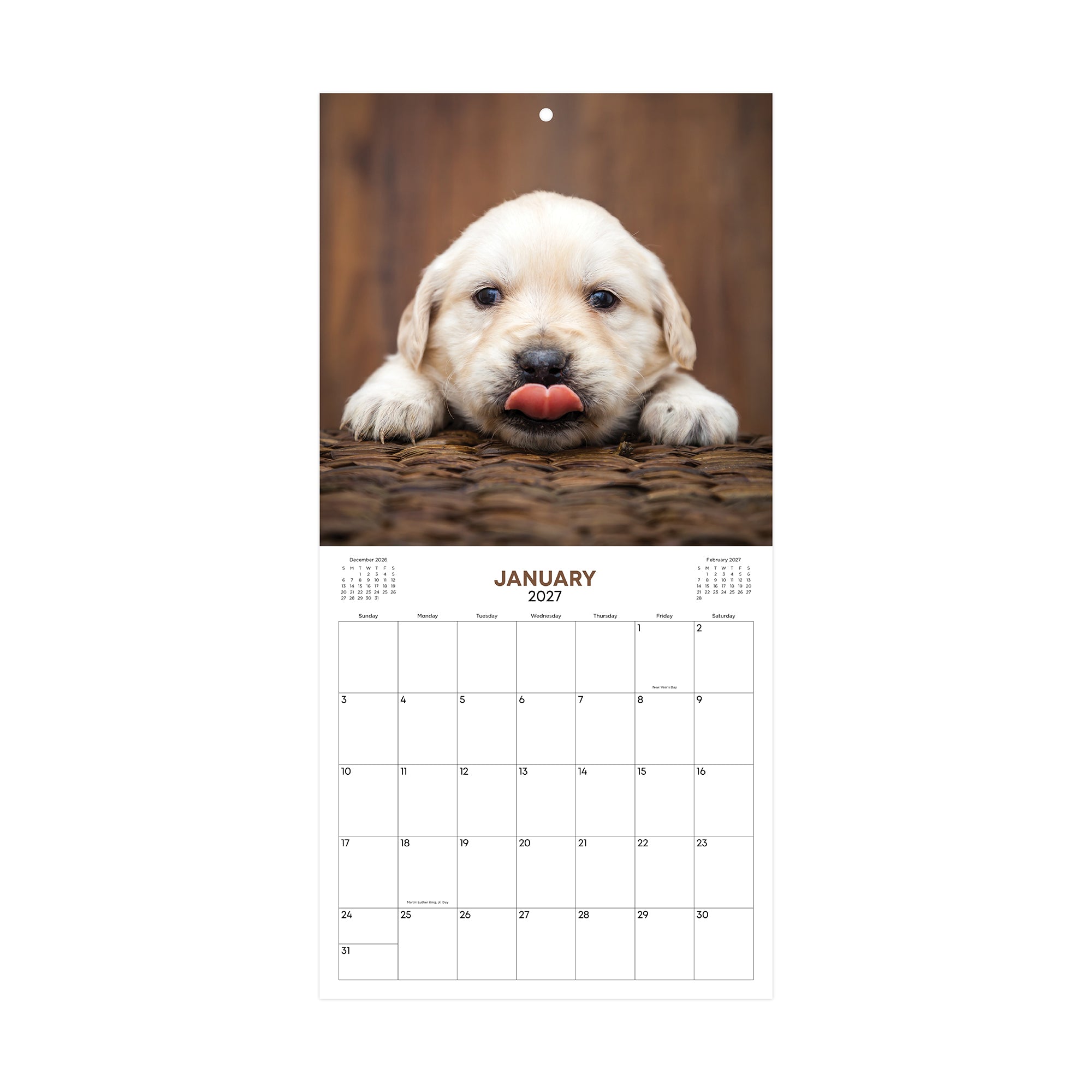 2027 puppies calendar 12 months featuring january 2027 to december 2027 12x12 size multiple puppies for each month