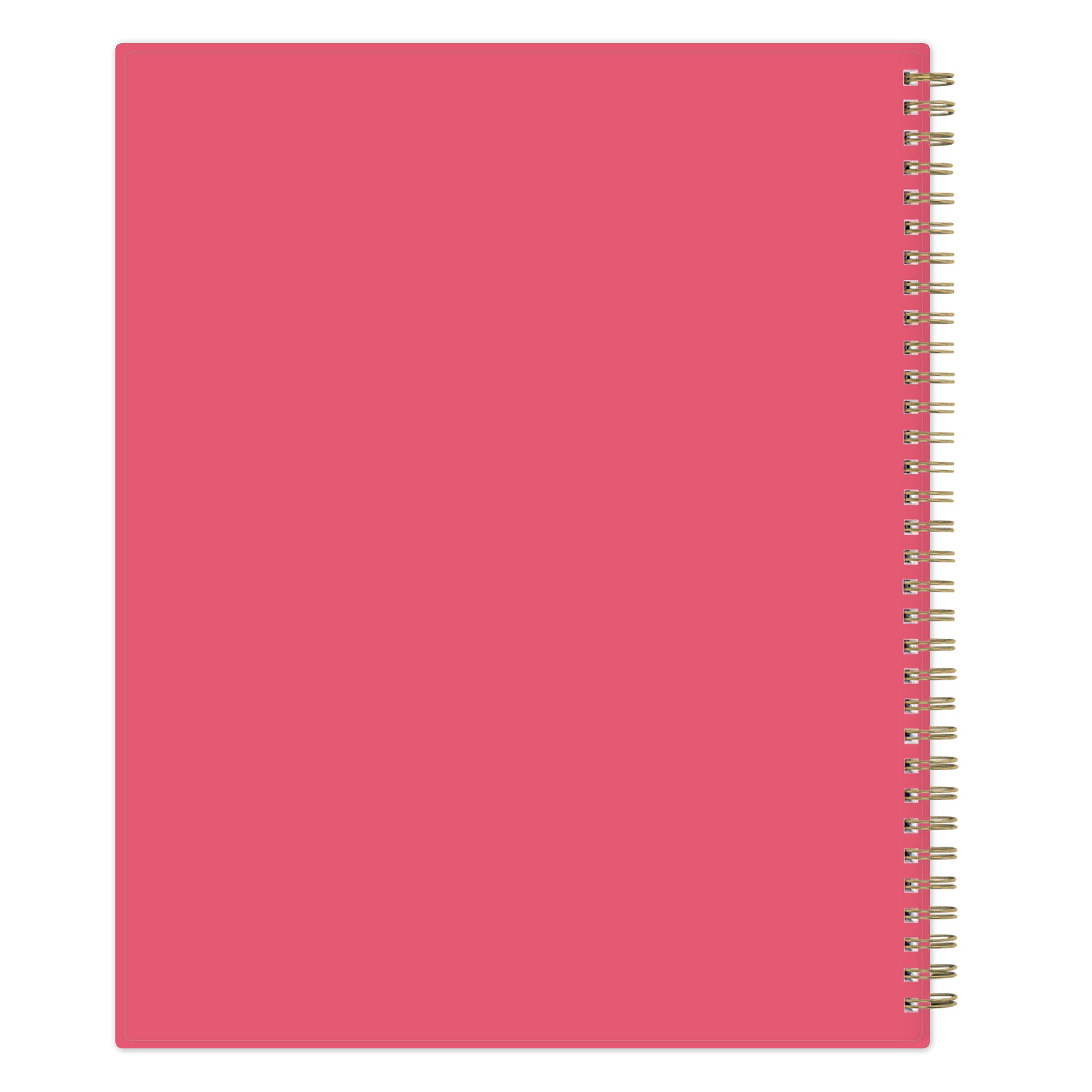 Apple Sketch 2026-2027 teacher lesson planner back cover with coral back cover design