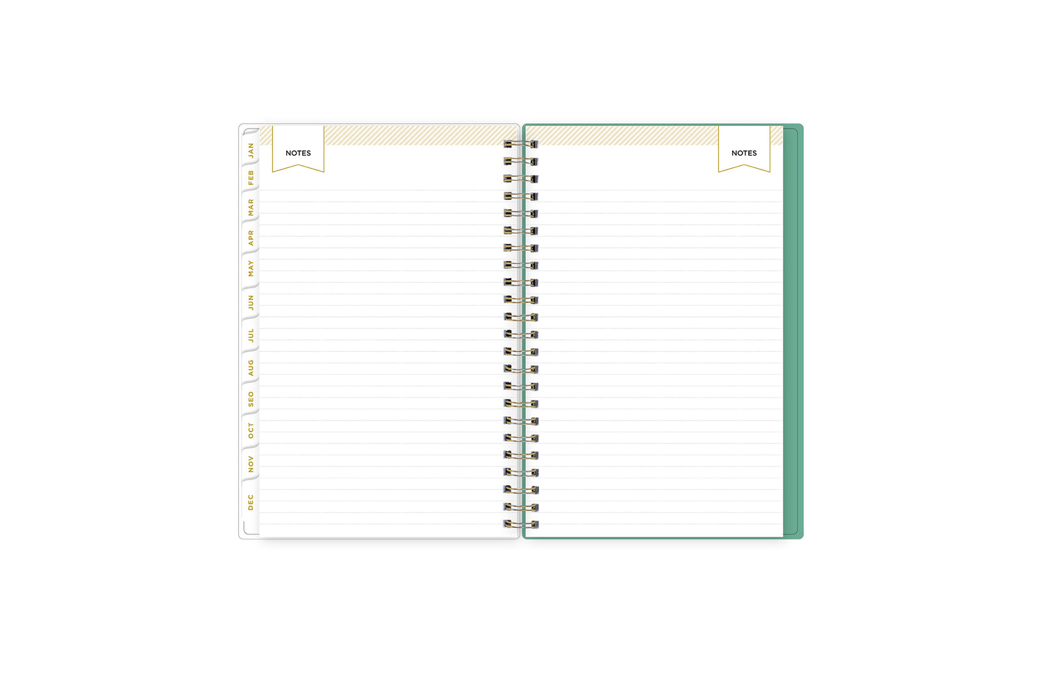 Peyton White 2024 Weekly Monthly 5x8 Day Designer for Blue Sky Planning Calendar