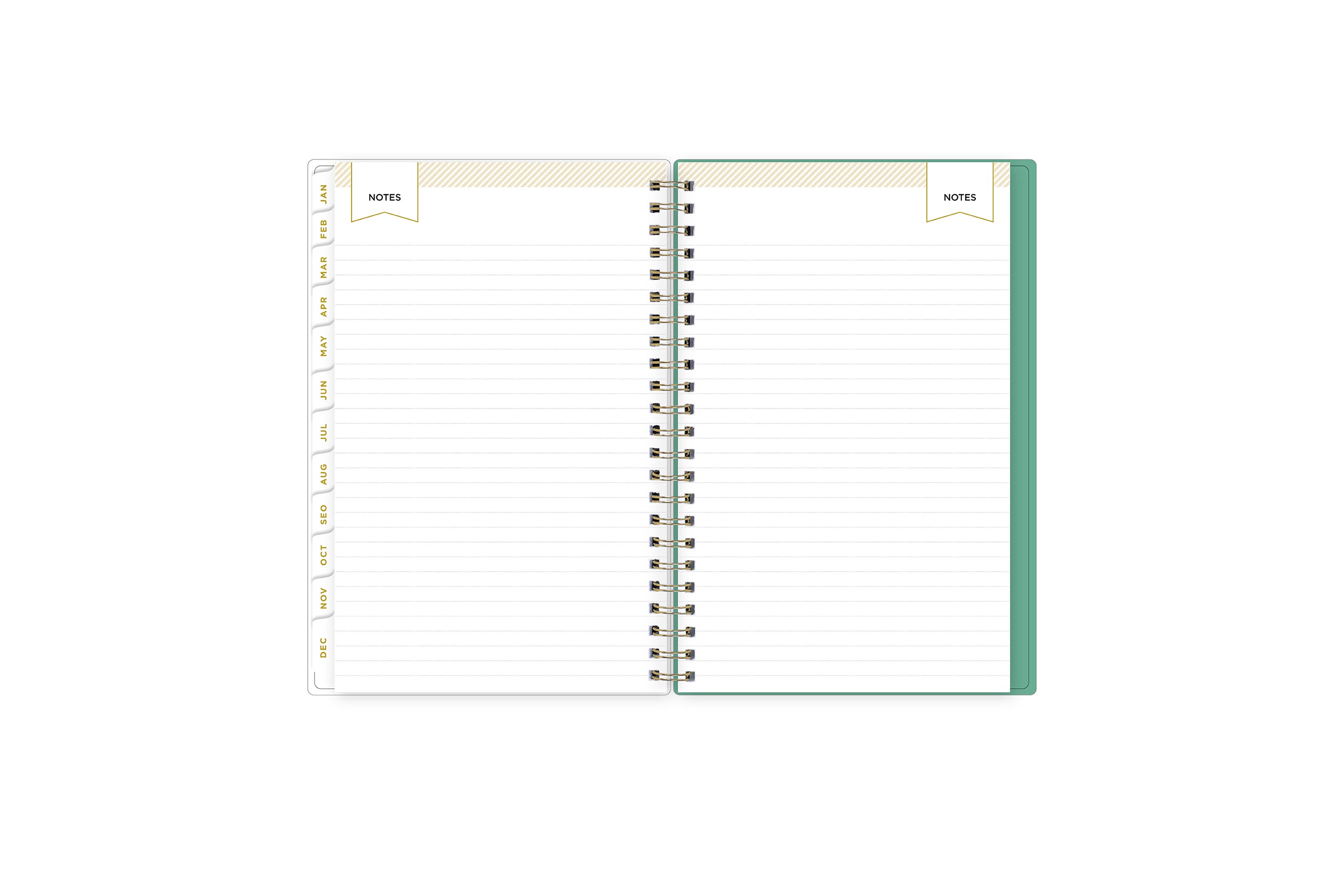 Peyton White 2024 Weekly Monthly 5x8 Day Designer for Blue Sky Planning Calendar