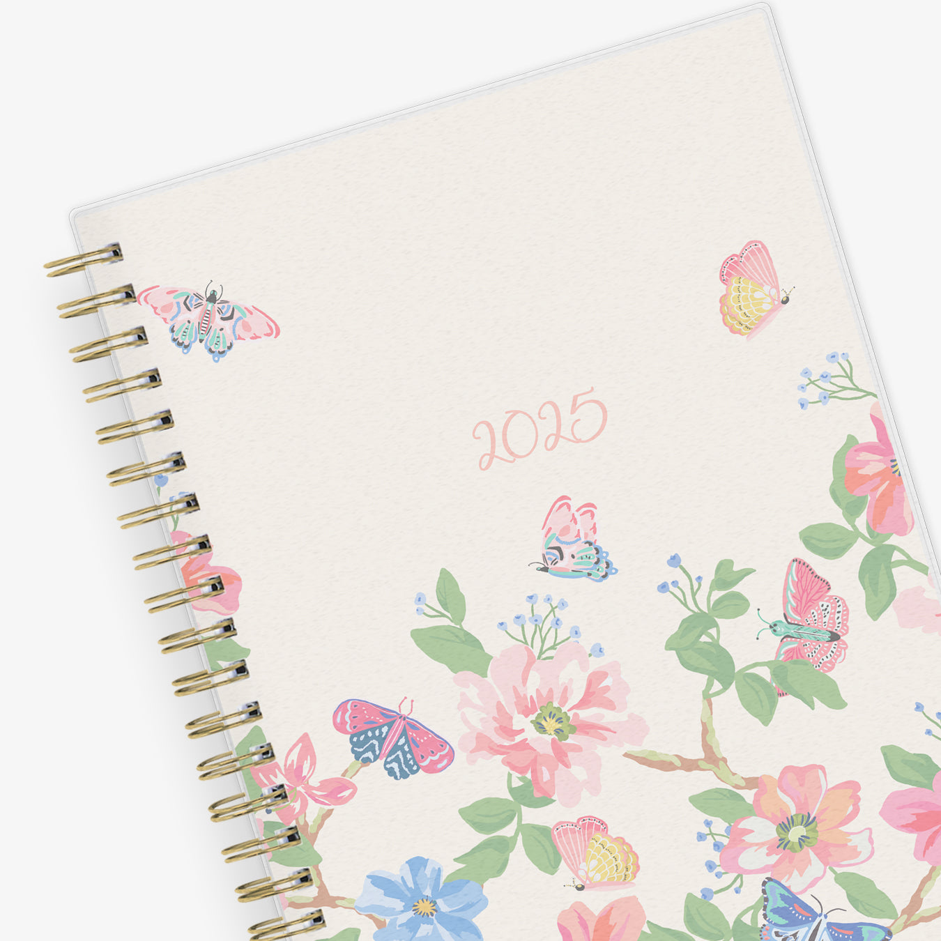 2025 Fly By 5x8 Weekly Monthly Planner Blue Sky