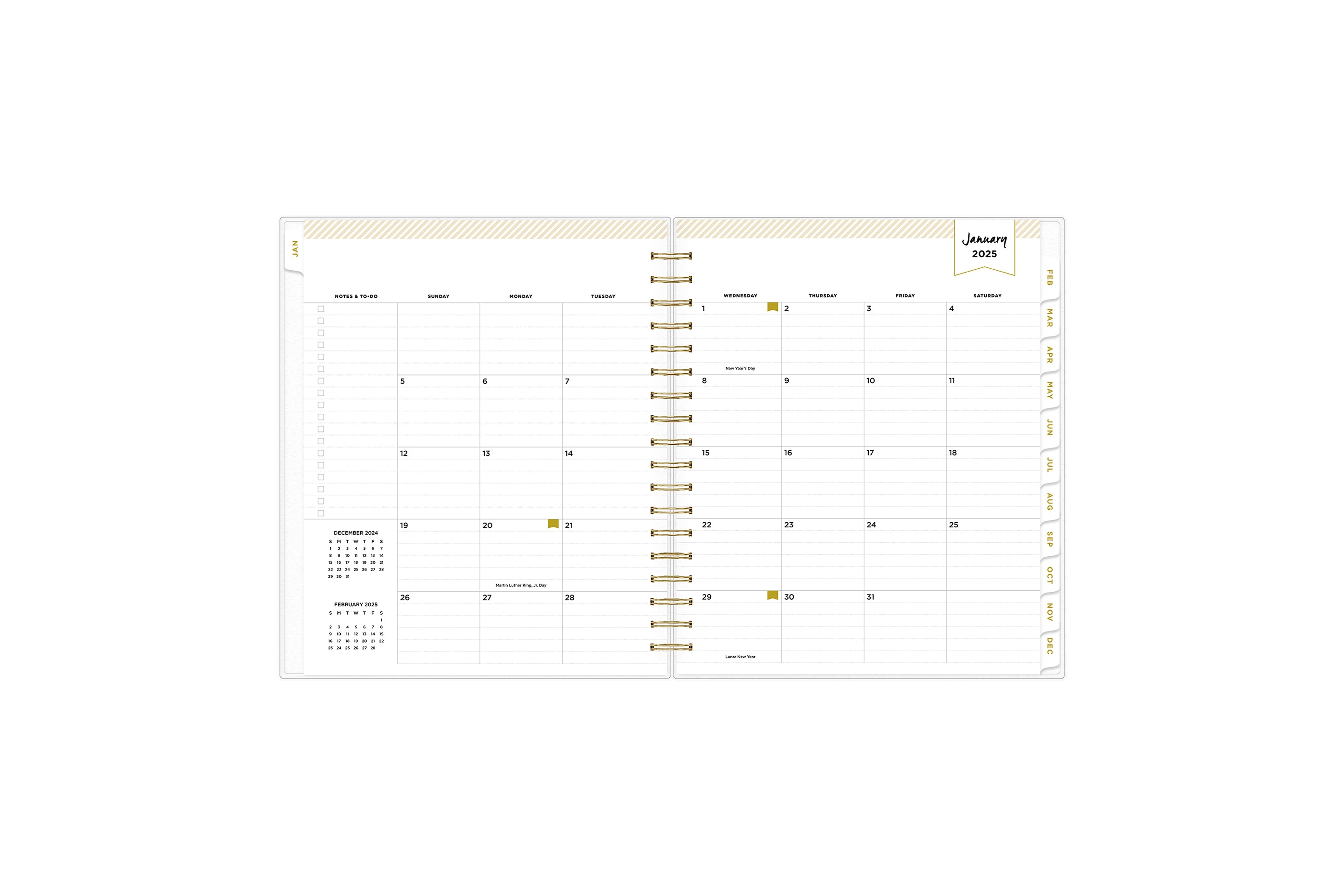 January 2025 - December 2025 daily monthly planner featuring a daily spread with lined writing space, notes and to-do list, one hour increments, and ample planning sections in a 8x10 size