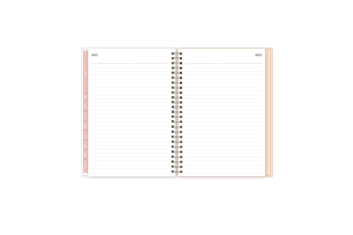 5x8 notes pages 