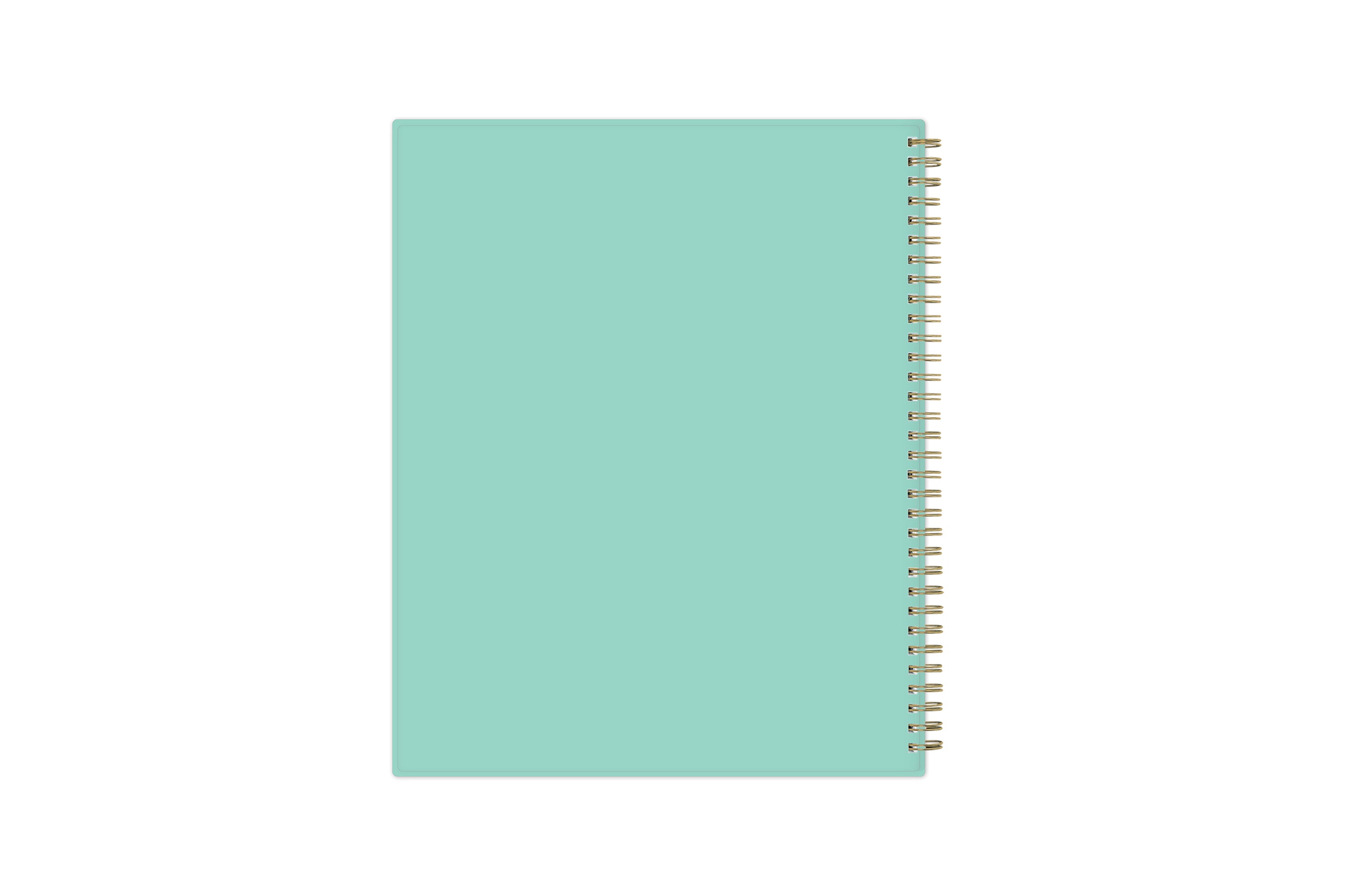 8.5x11  teal back cover gold wire-o