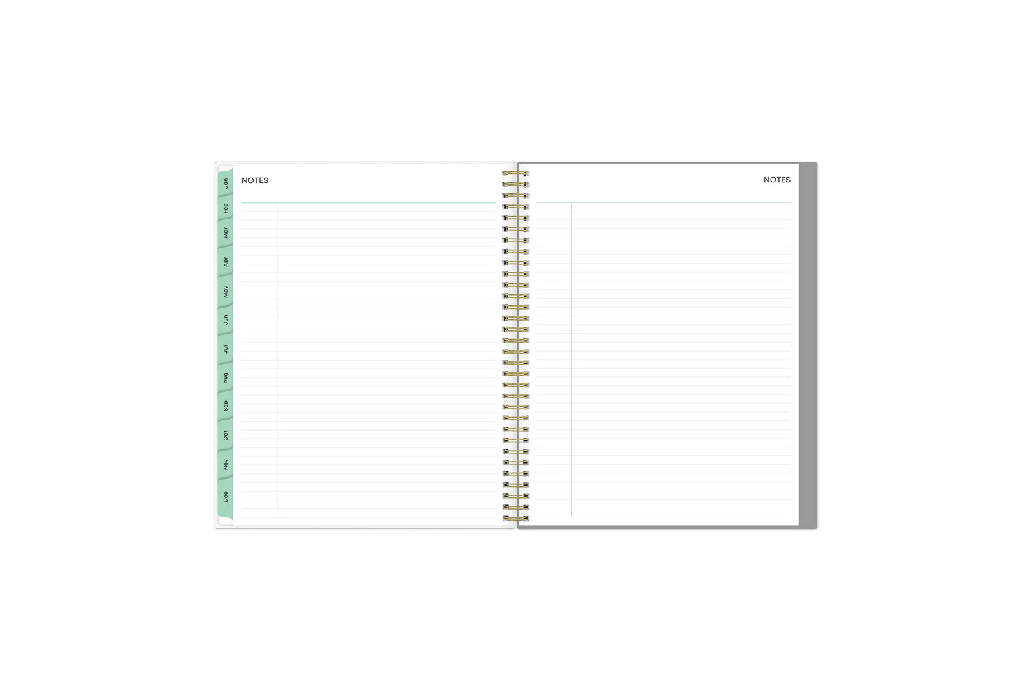 lined notes with mint monthly tabs