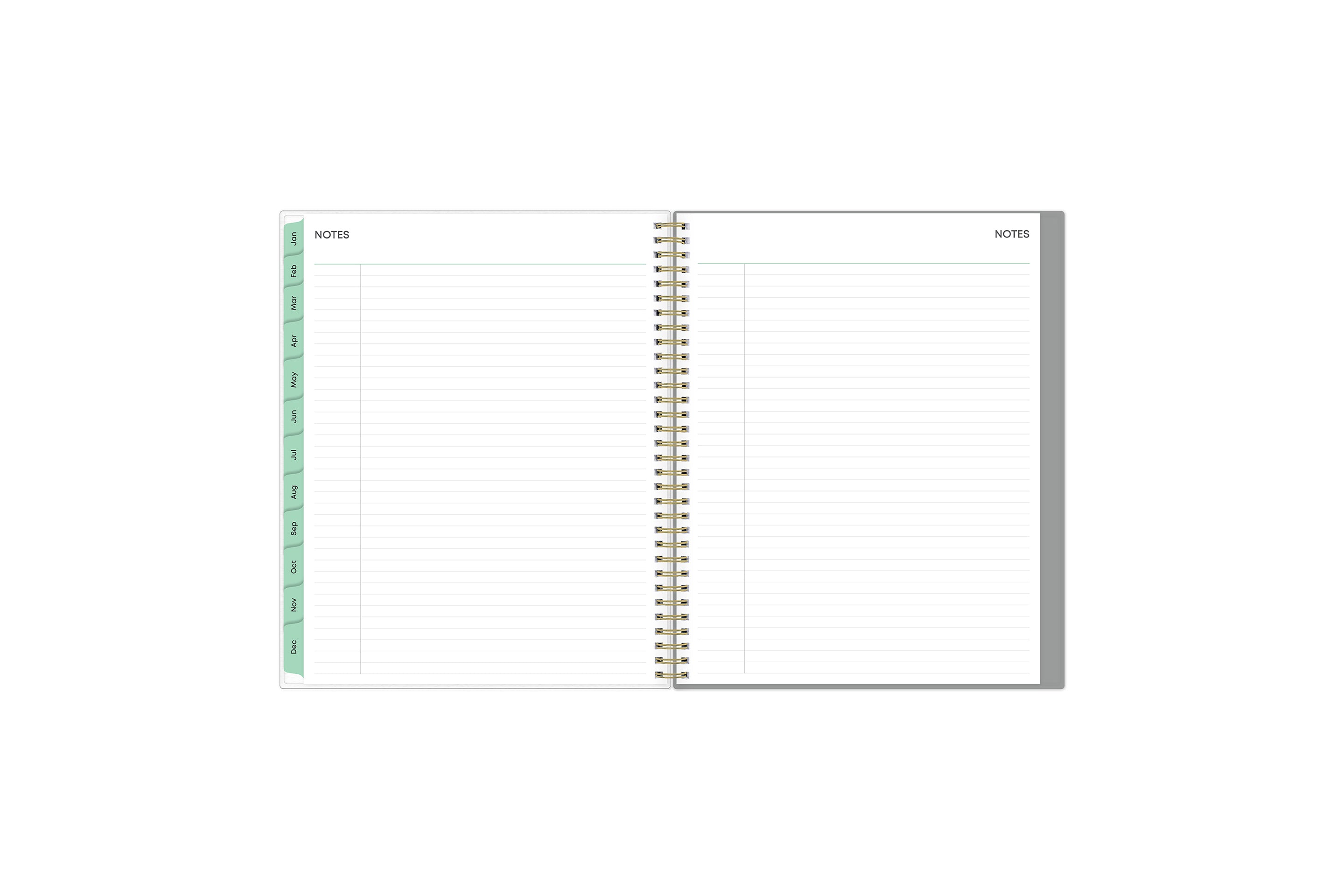 lined notes with mint monthly tabs