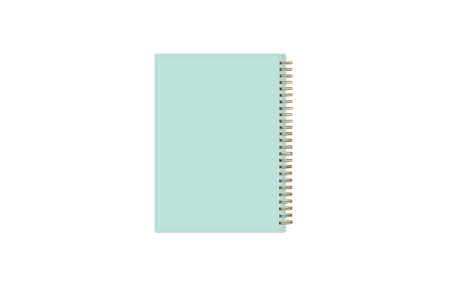 solid mint background, gold twin wire-o binding
