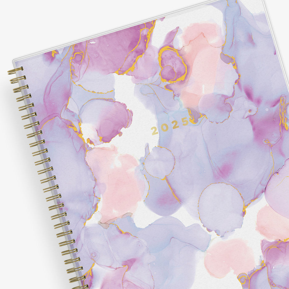 2025 blue sky planners