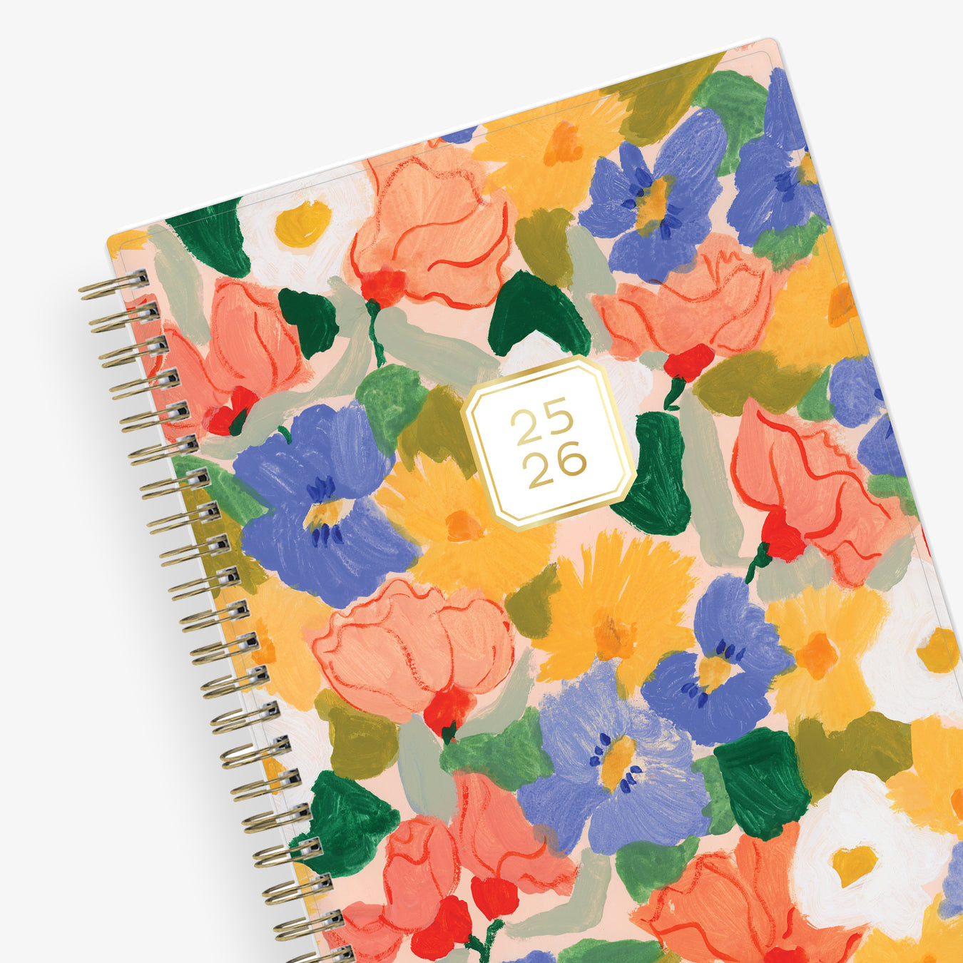 2025 2026 Blue Sky Planners 2025 2026 Blue Sky Planners