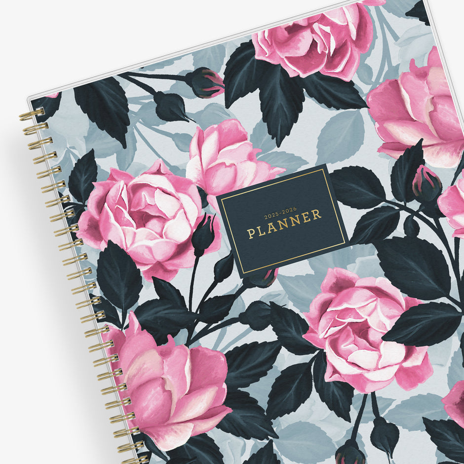 20252026 Blue Sky Planners