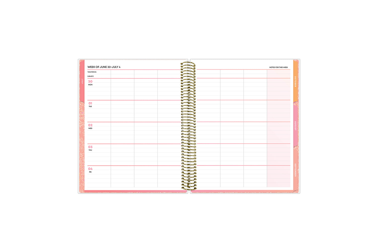 8.5x11 teacher lesson planner featuring a weekly spread with a section for each day, ample clean writing space and lined notes section