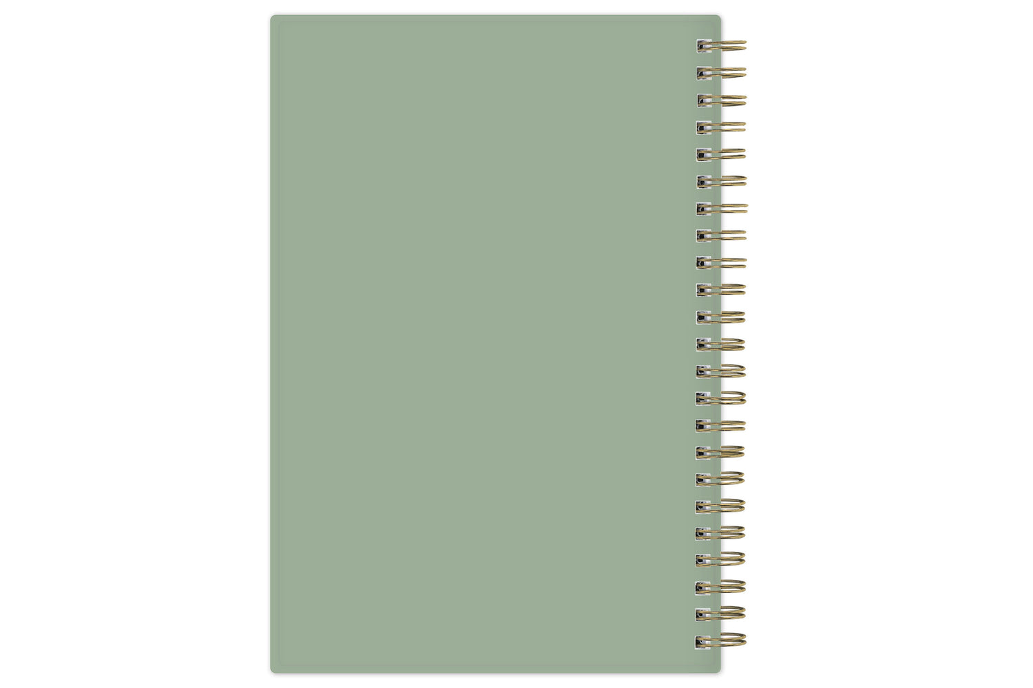 cute white daises and cherries front cover 5x8 planner size 2025-2026 olive green back cover