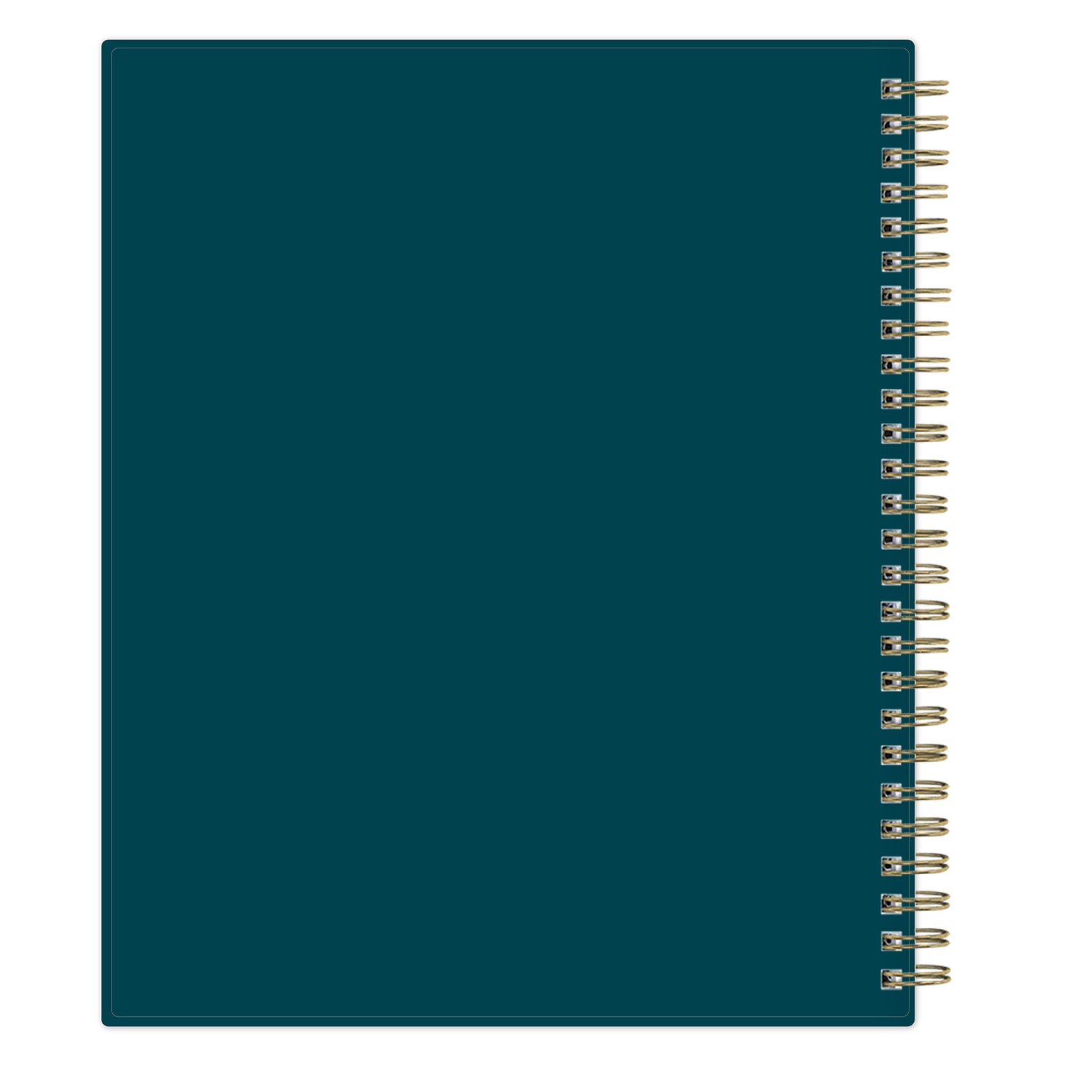 Teal notebook with gold spiral binding on a white background