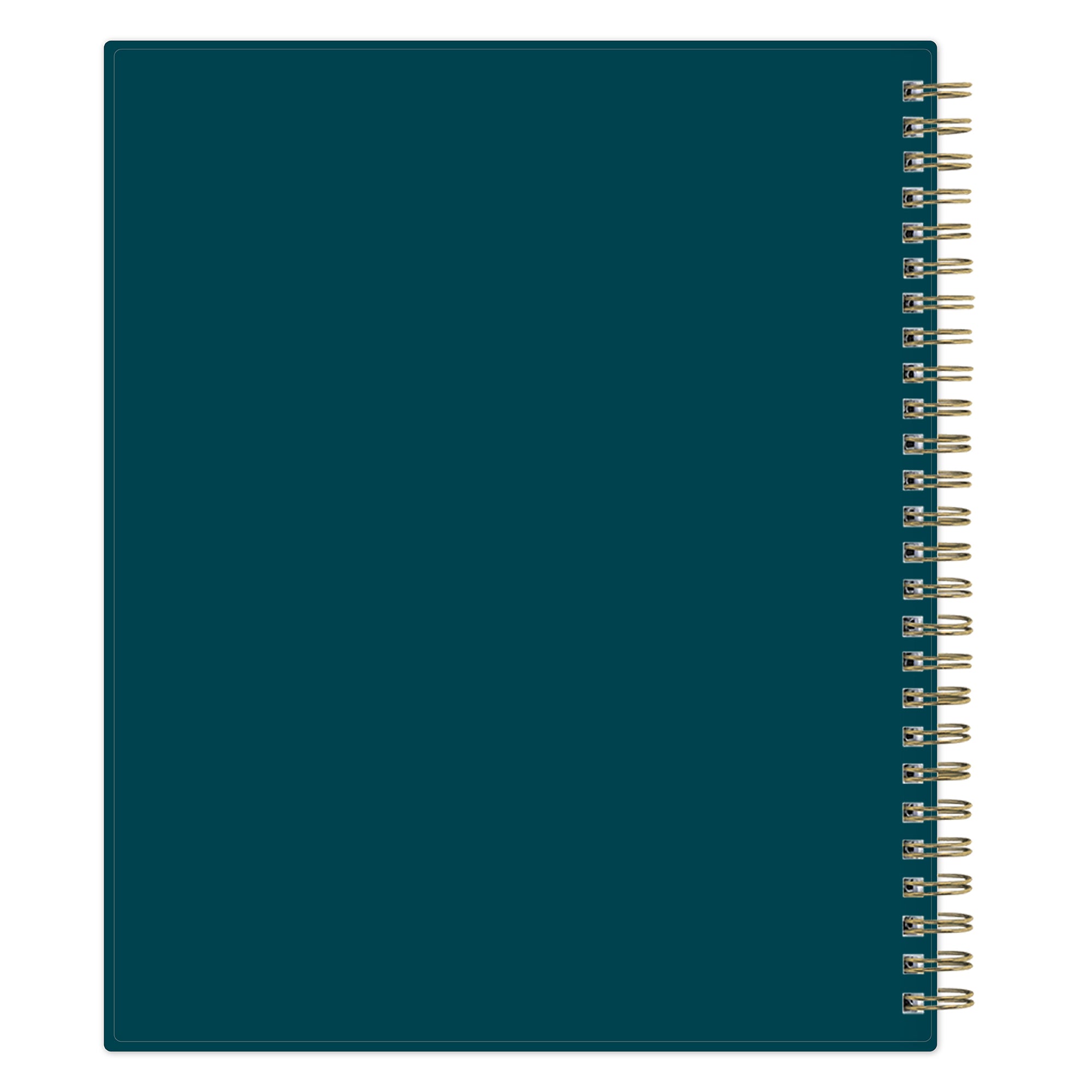 Teal notebook with gold spiral binding on a white background