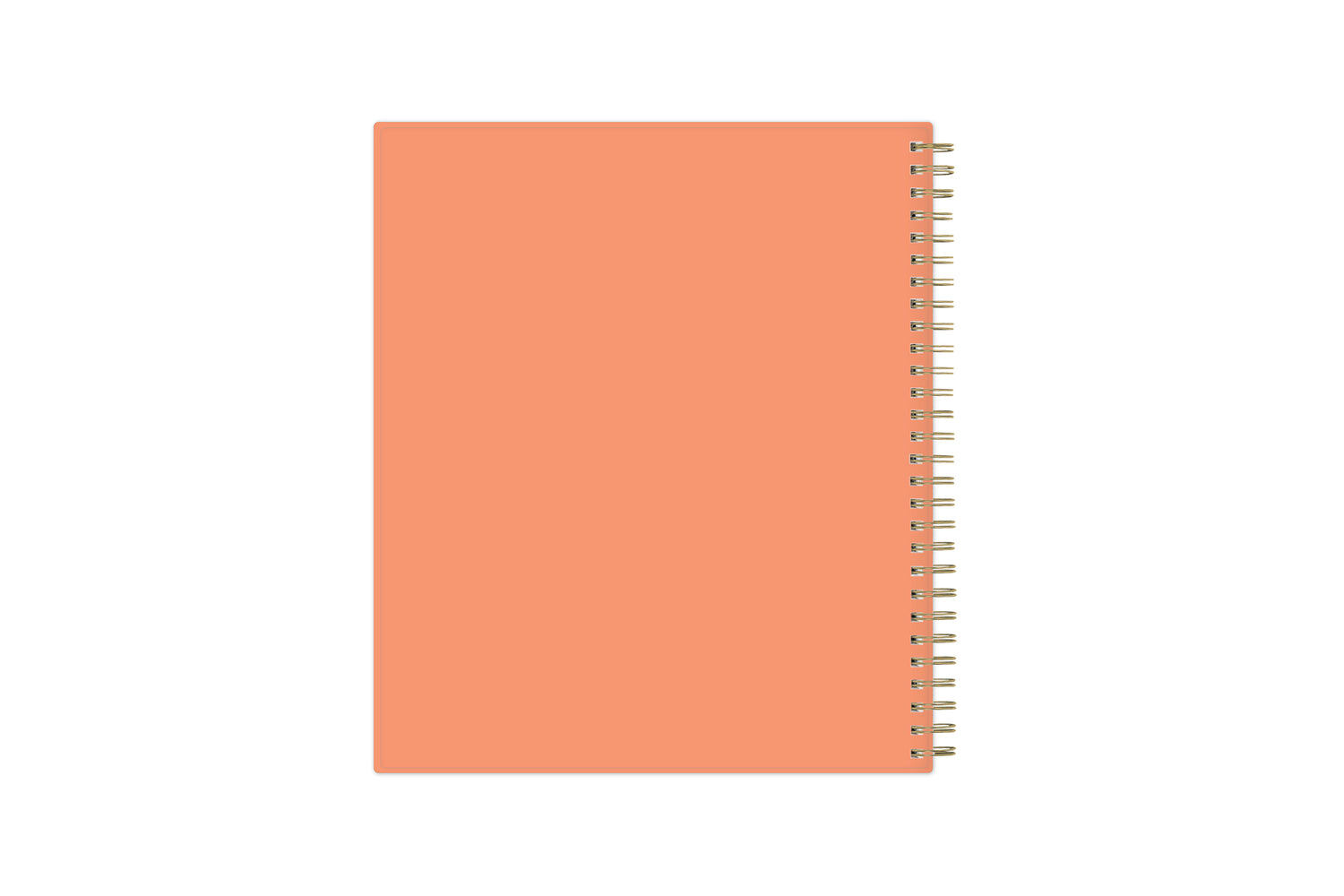 rosie front cover on this 2025-2026 daily planner in 8x10 size and orange back cover