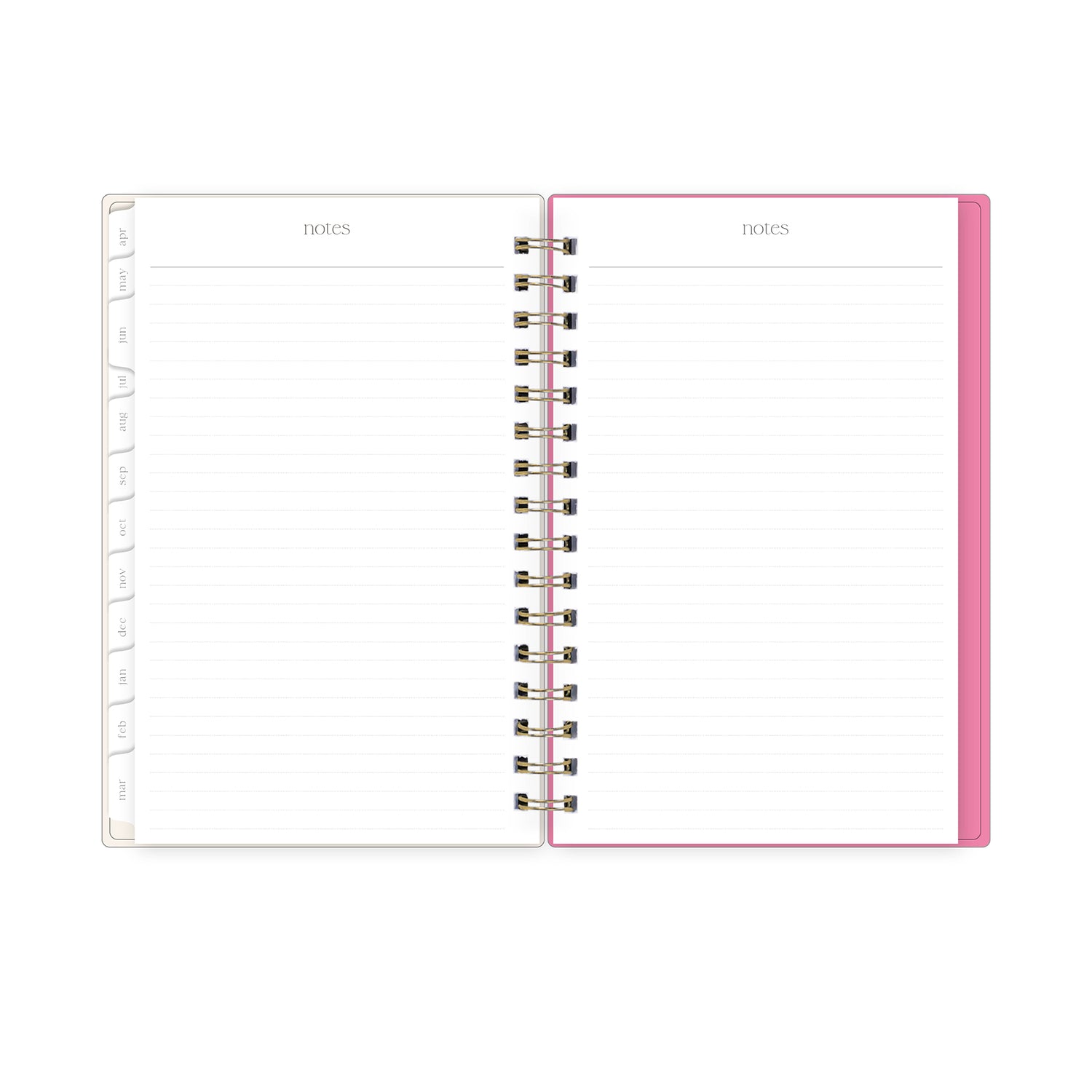 lined notes section with white monthly tabs