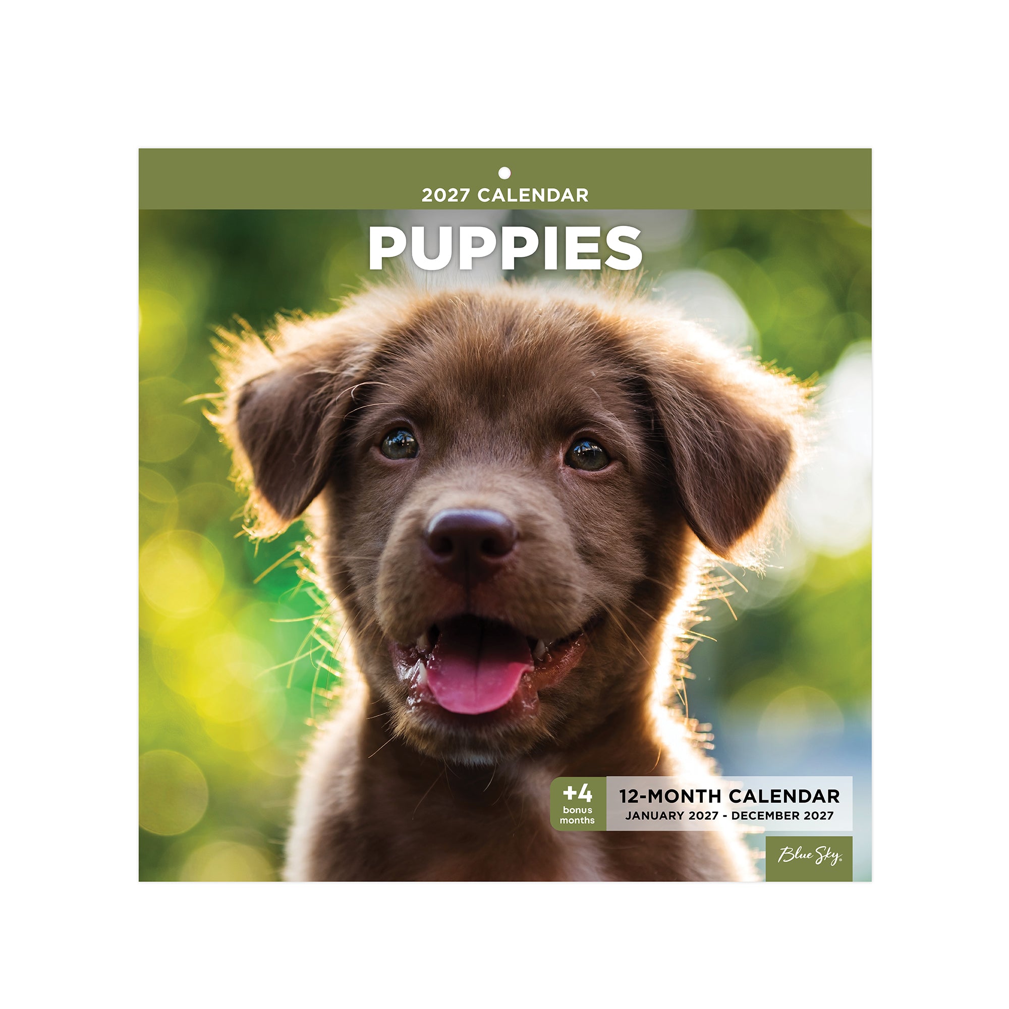 2027 puppies calendar 12 months featuring january 2027 to december 2027 12x12 size