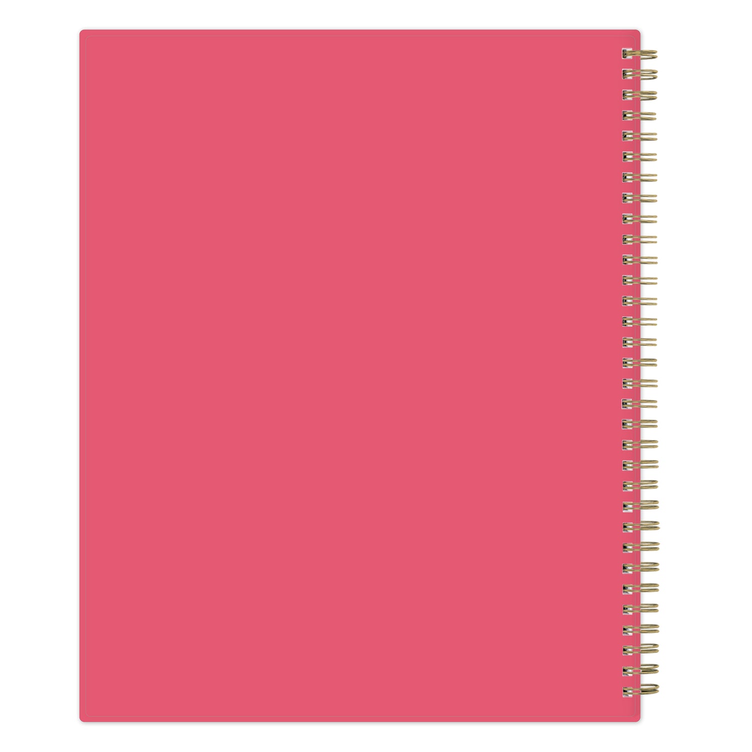 Apple Sketch 2026-2027 teacher lesson planner back cover with coral back cover design