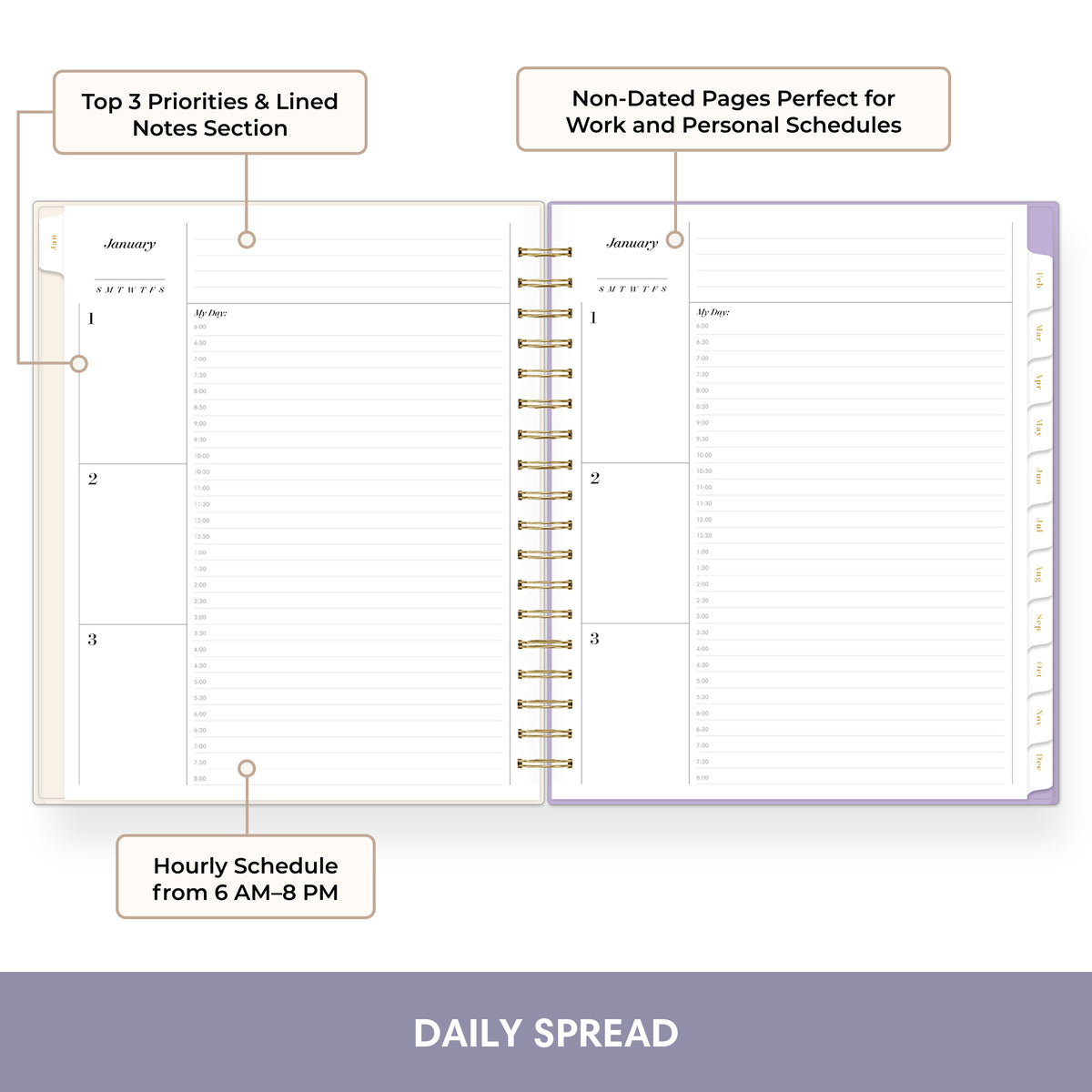 An open spiral-bound daily planner spread on a white background with callout labels pointing to features such as lined notes section, non-dated pages, and hourly schedule layout. The bottom has a purple banner reading DAILY SPREAD.
