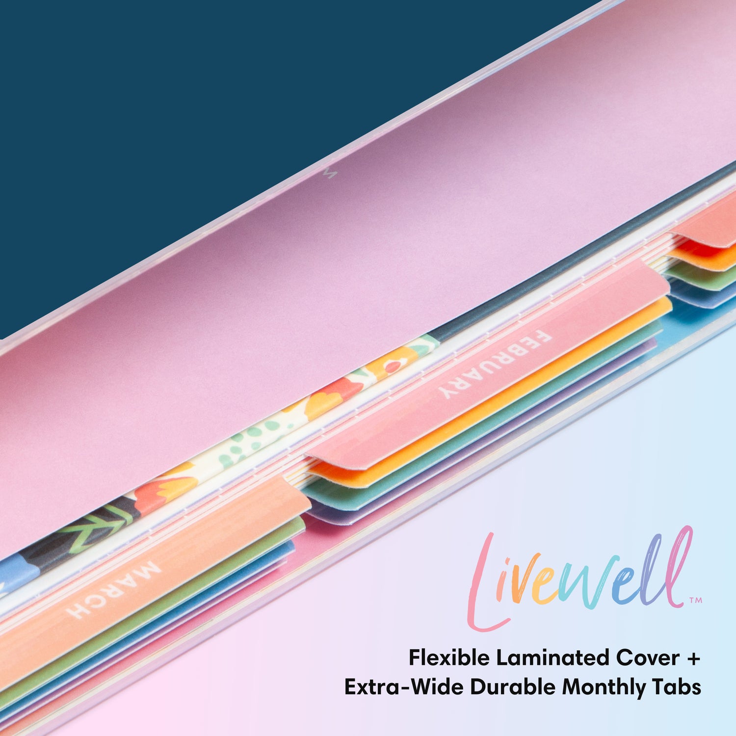 quality multi-colored monthly tabs easily accessible to flip through specific months