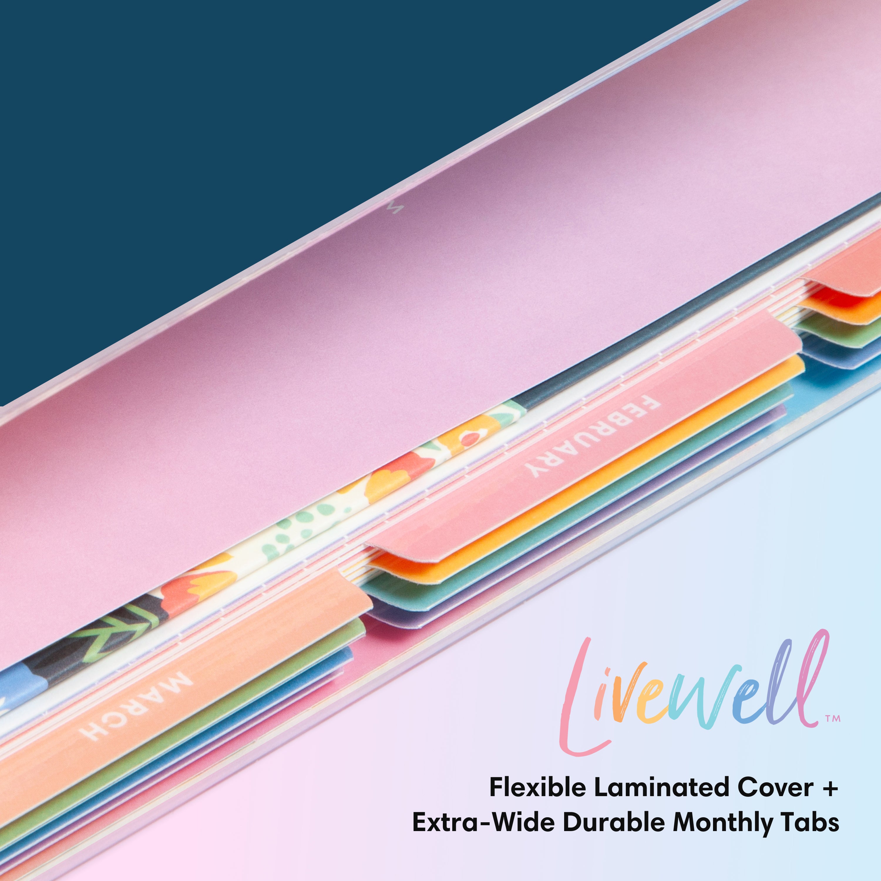 quality multi-colored monthly tabs easily accessible to flip through specific months