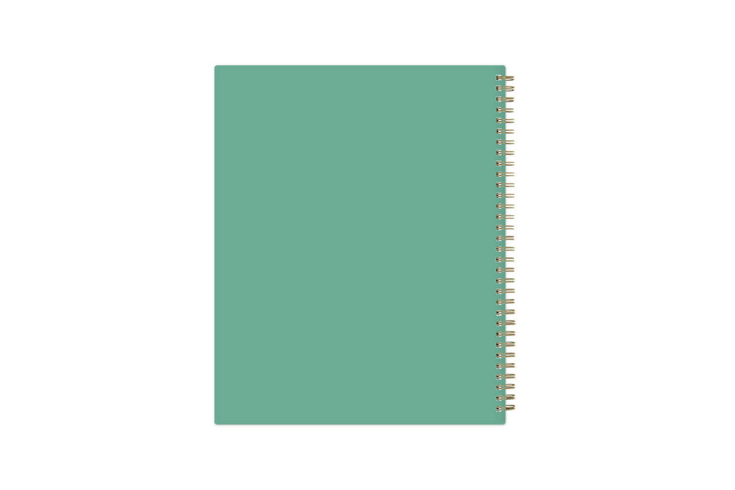 2024 weekly monthly planner featuring a mint green flexible back cover and gold twin wire-o binding