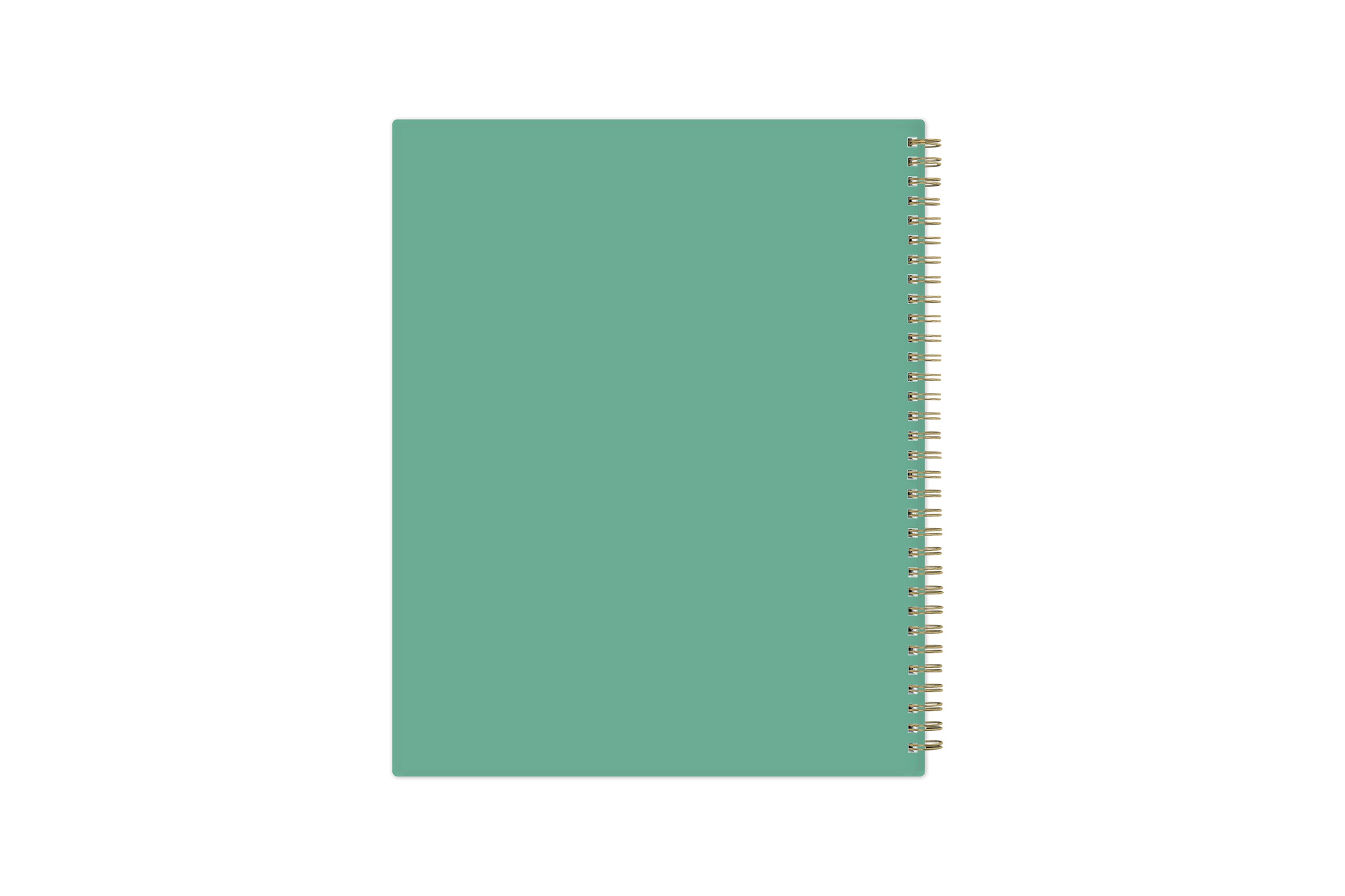 2024 weekly monthly planner featuring a mint green flexible back cover and gold twin wire-o binding
