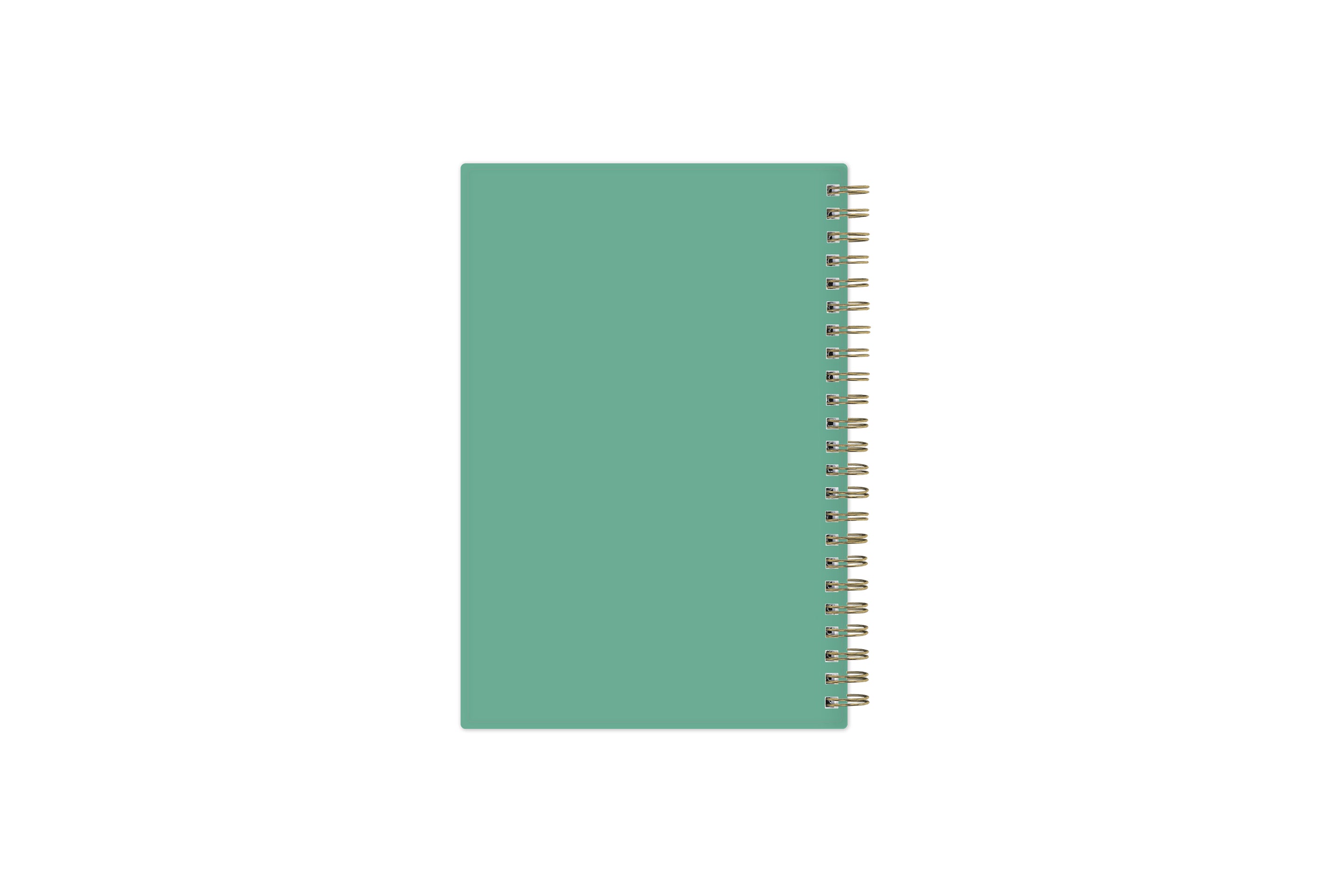 2024 weekly monthly planner featuring a mint green flexible back cover and gold twin wire-o binding
