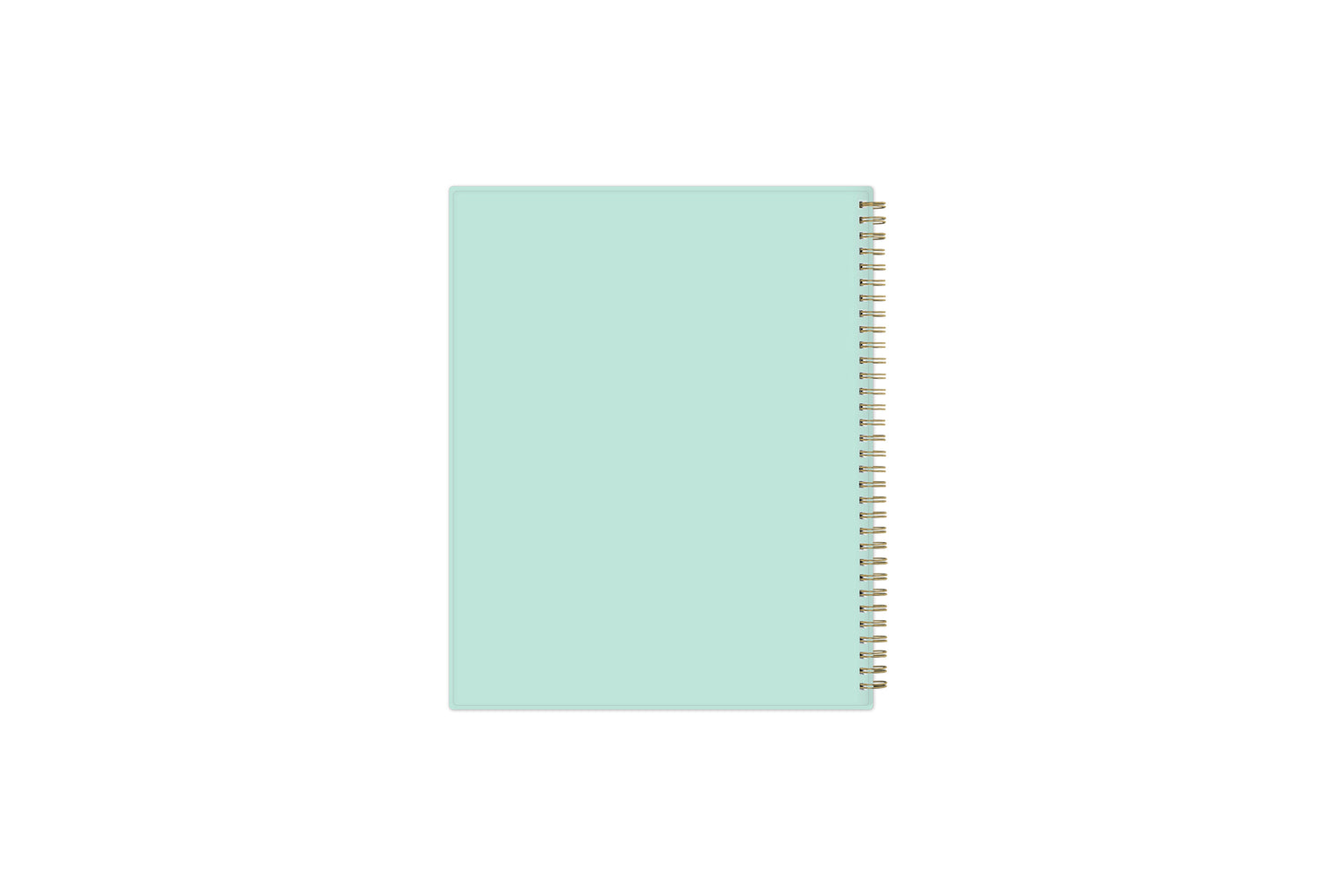 day designer for blue sky 8.5x11 weekly and monthly planner with gold wire-o binding and mint background