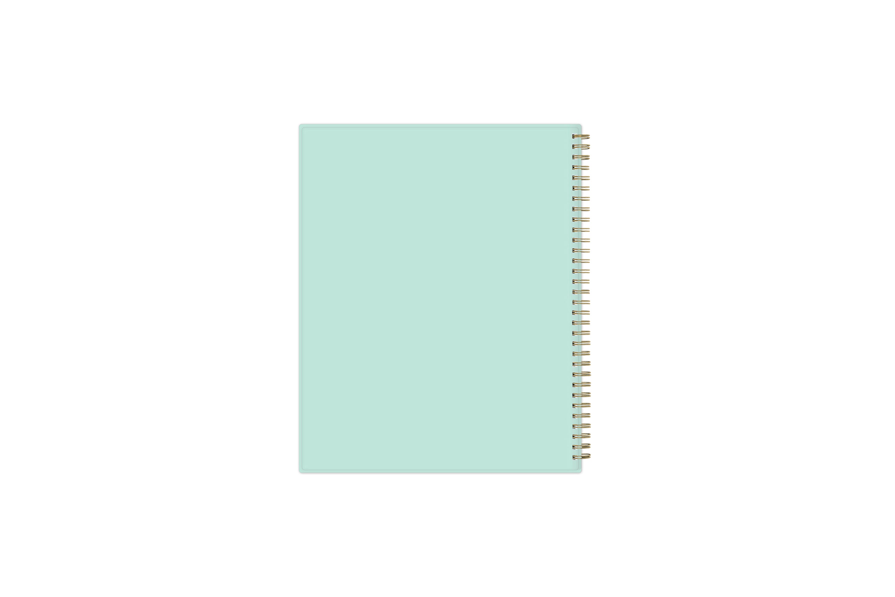 day designer for blue sky 8.5x11 weekly and monthly planner with gold wire-o binding and mint background