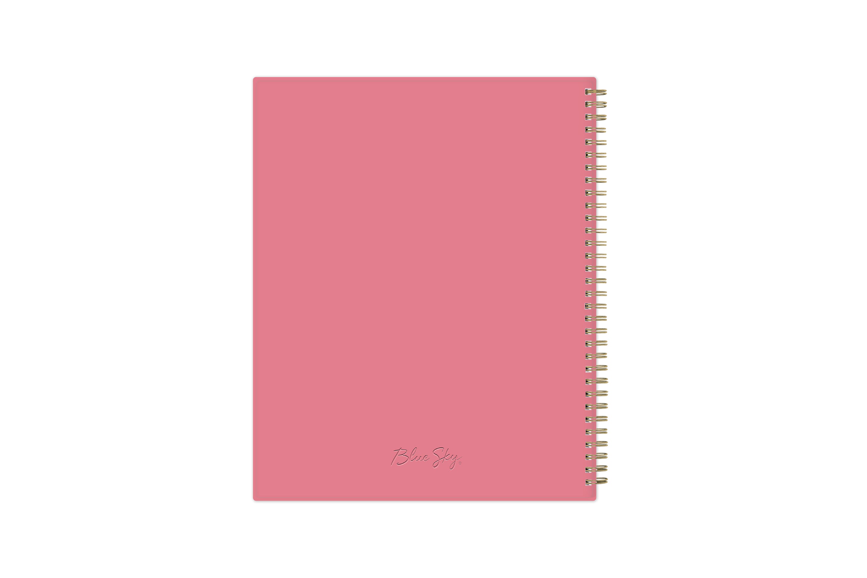 January 2025 to December 2025 weekly planner featuring a solid flexible grayback cover, silver twin wire-o, and a compact 8.5x11size planner