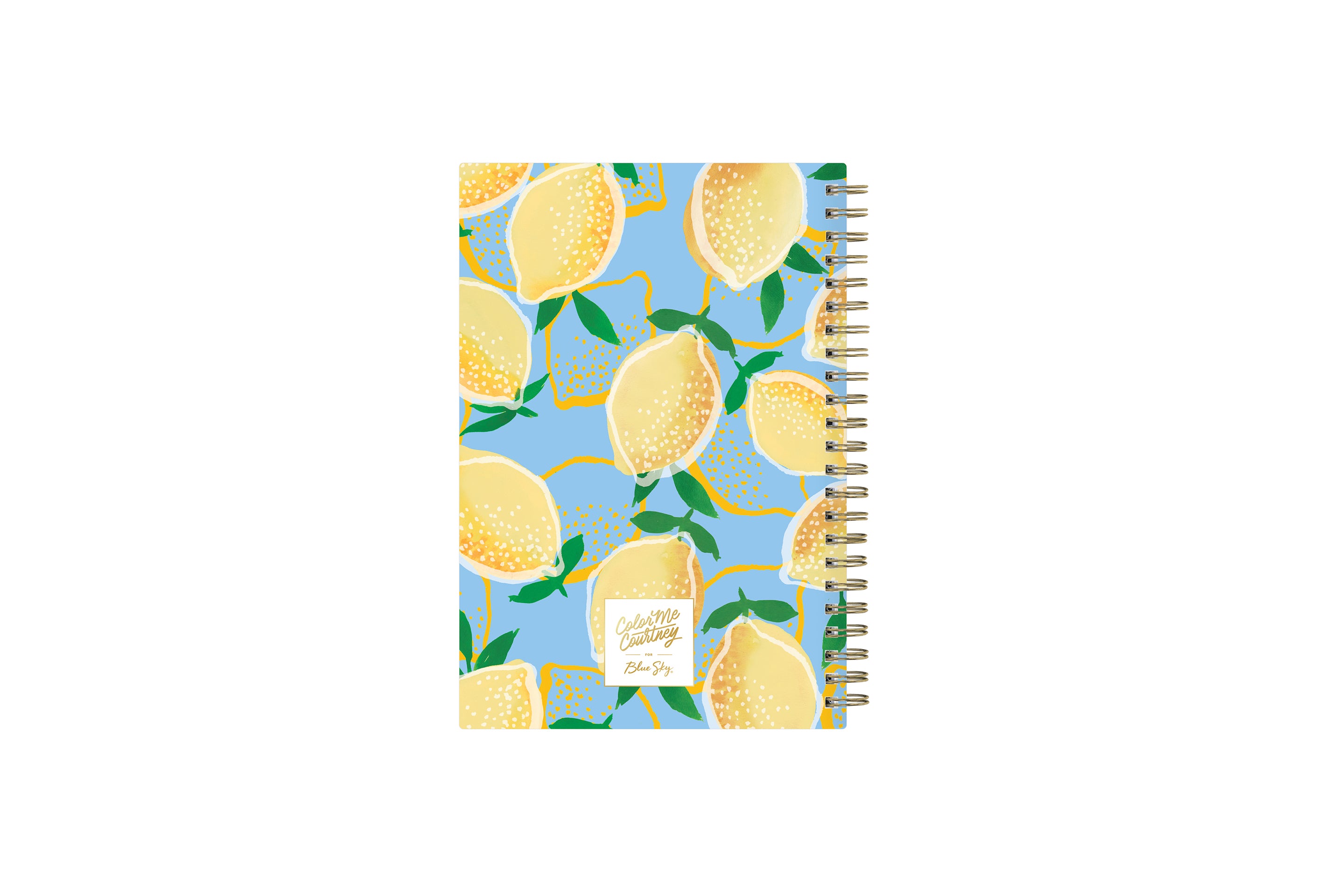 Back cover with lemonade design gold twin wire-o binding and 2023-2024 printed academic year