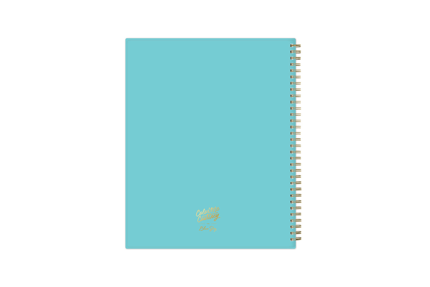 Fun, bright foral patterns 2023-2024 weekly monthly gold wire binding 8.5x11 teal backcover