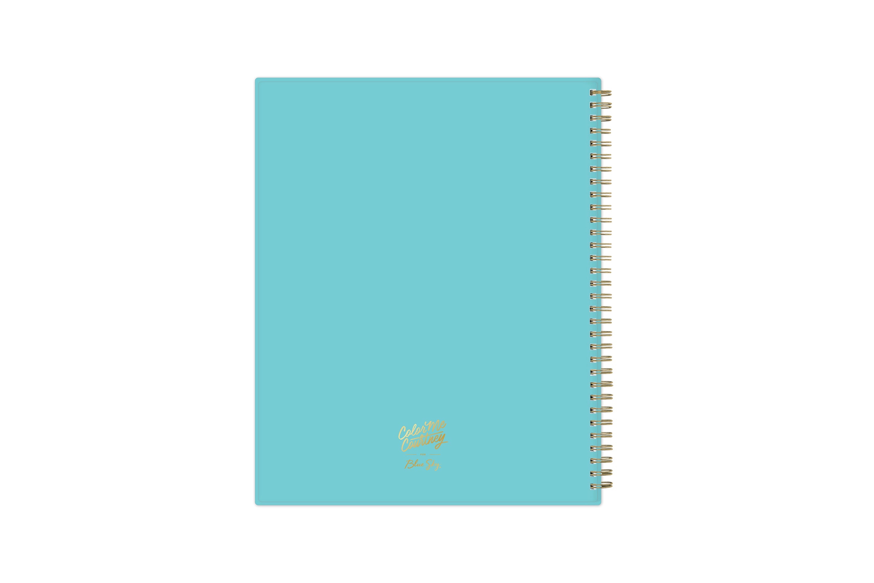 Fun, bright foral patterns 2023-2024 weekly monthly gold wire binding 8.5x11 teal backcover