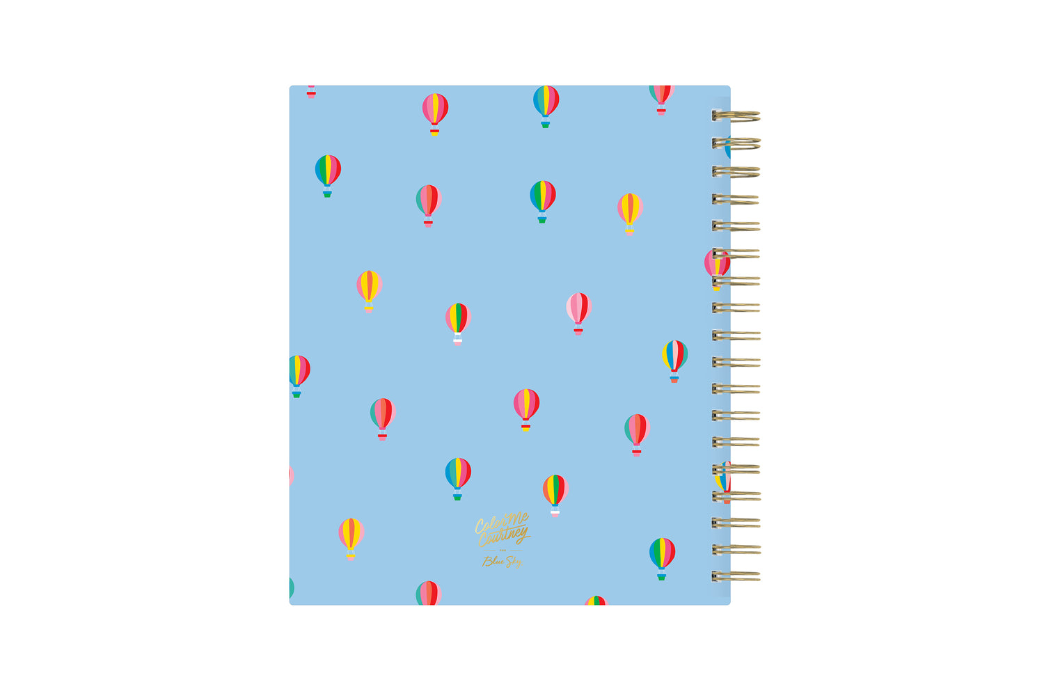 Color Me Courtney designed for Blue Sky featuring air balloons on a blue sky background and gold wire-o binding 8x10 academic planner