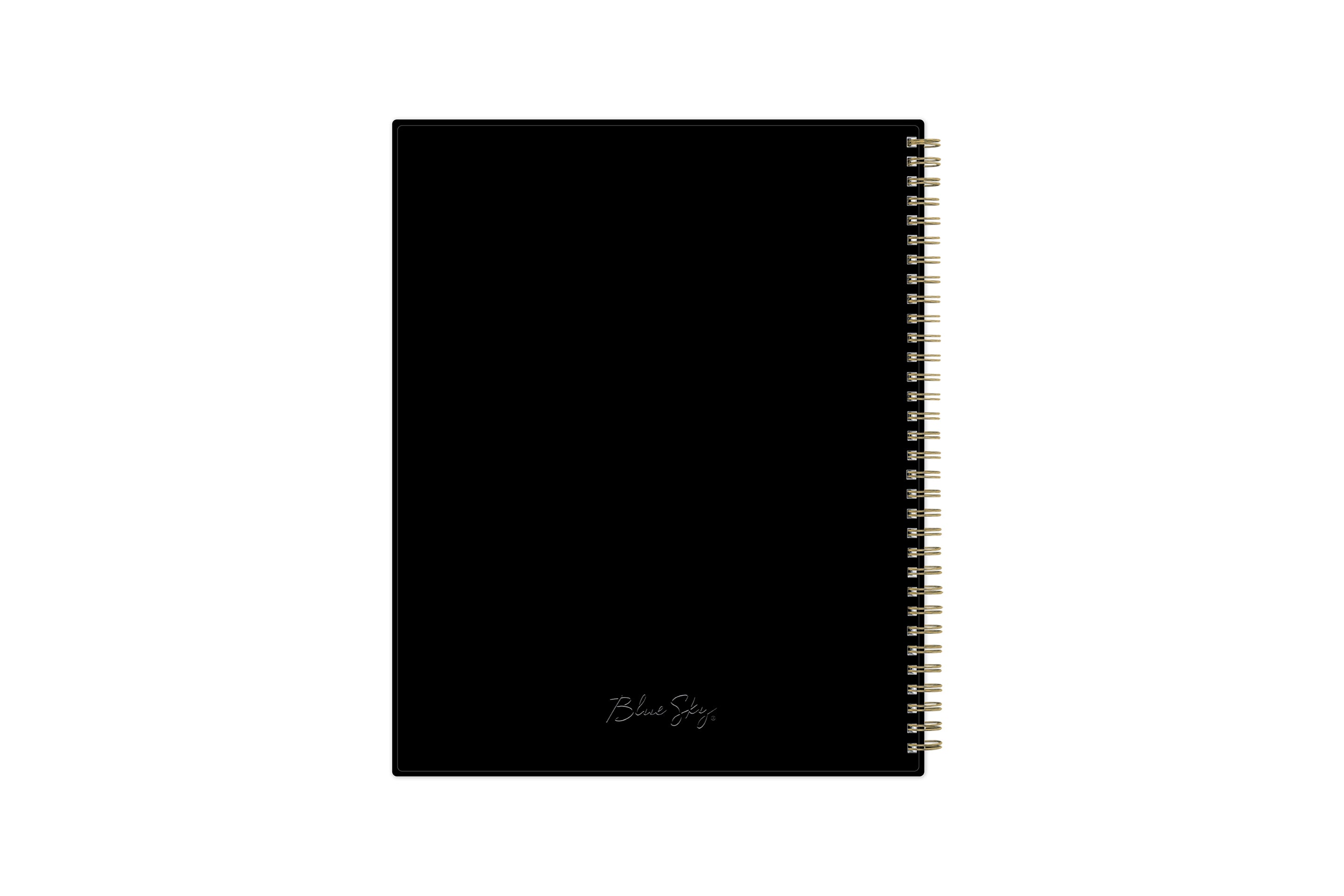 The January 2024 - December 2024 appointment book from Blue Sky features a flexible black back cover and gold silver wire-o binding